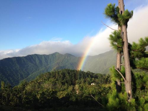 Nadarivatu Homestay - Escape to Tranquillity