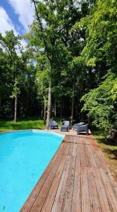 NALAN Godvicien, Spa, piscine chauffée, forêt, 14 pers