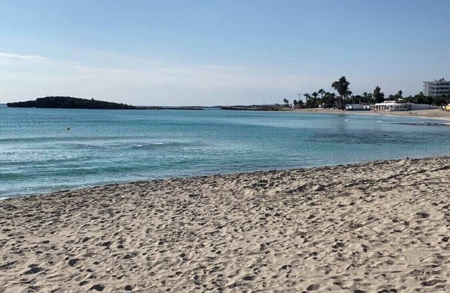 Narcissos 'Nissi Beach' apartment C3