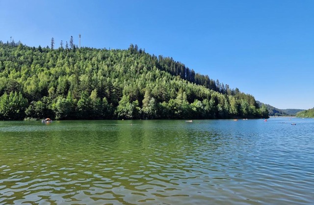 Nature lover's place