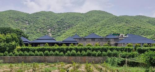 Nature Retreat Resorts- Life in Nature