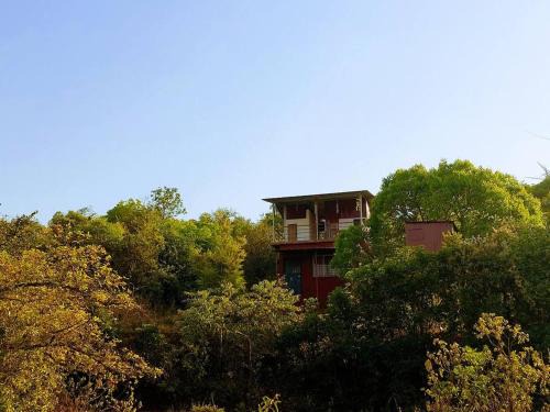 NeelMohar Bellevue 8