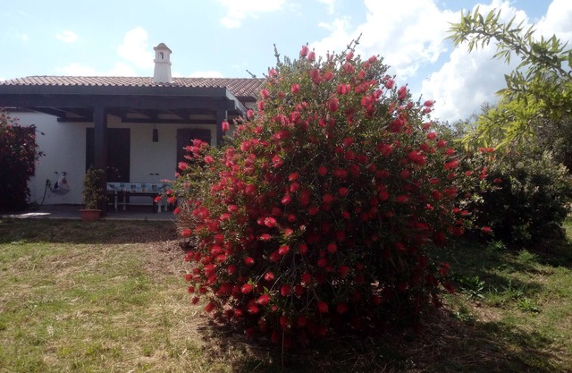 Nerelie House S big garden for playing, wi-fi free!IUN-P2044