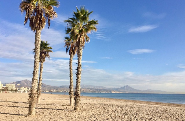 New apartment in San Juan Playa, Alicante Wi-fi, air conditioning, smart tv