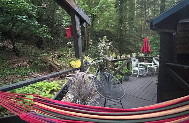NEW Historic Santa Cruz Redwoods Retreat 1BR Cabin on a Serene Creekside Acre