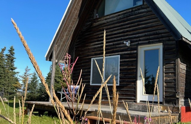 "NEW" Kenai Beachfront Cabin 1 - In the middle of river fishing on the beach.