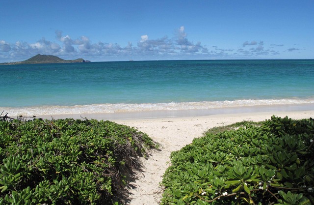 NEW LUXURY REMODEL! 7 NIGHT MIN STAY, STEPS TO BEACH, AC, POOL, INQUIRE OPENINGS