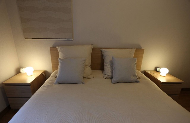 Nice apartment Downtown Brest