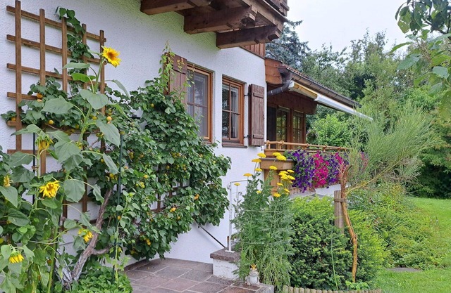 Nice apartment for 5 guests with WIFI, TV, patio and pets allowed