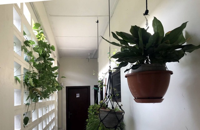 Nkontim: WiFi, AC & fan, fridge in room, share kitchen. Incl. breakfast