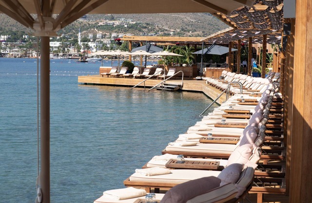 No 81 Hotel