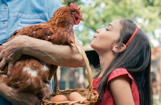 NO CLEANING FEE! - Longer Stay Discounts! Backyard Chickens!