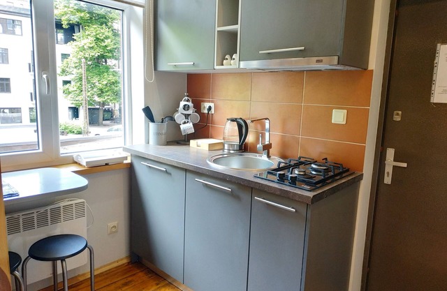 NON-Smoking Rustic Sparkle Apt + Free Parking