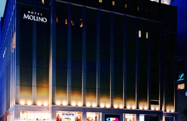 Nonsmoking Modern King Room Standard accommoda /Kawasaki Kanagawa