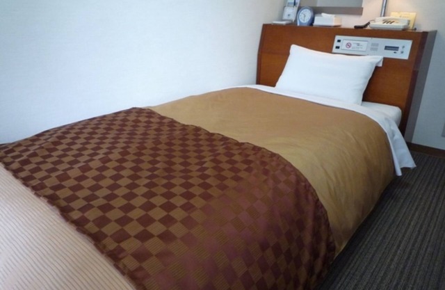 Nonsmoking Single room/Kawasaki Kanagawa