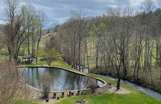 North GA Mountain Paradise Natural Swimming Pool and Stream
