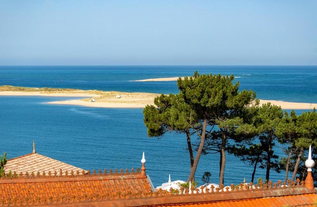 O'DYSSEE Appartement vue panoramique Bassin d'Arcachon