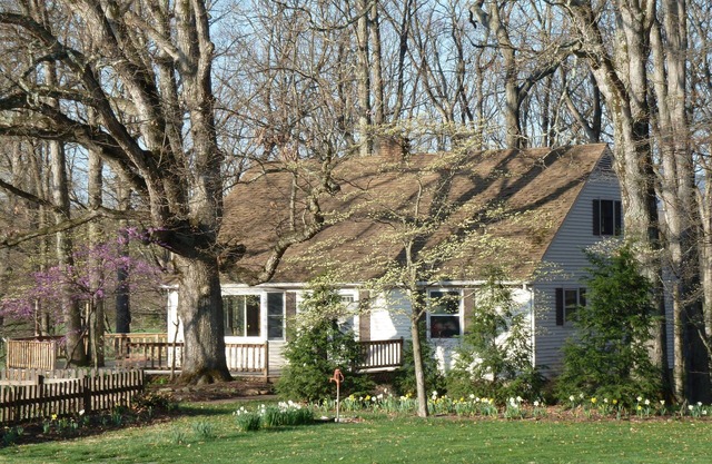 Oak Tree Cottage: Beautiful farm with mountain views.
