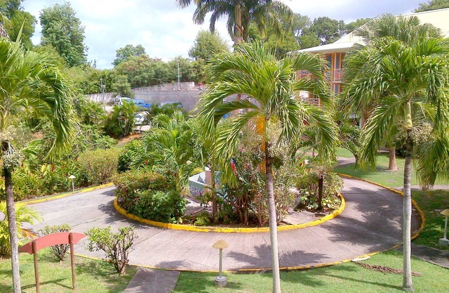 Oasis Verde - Studio