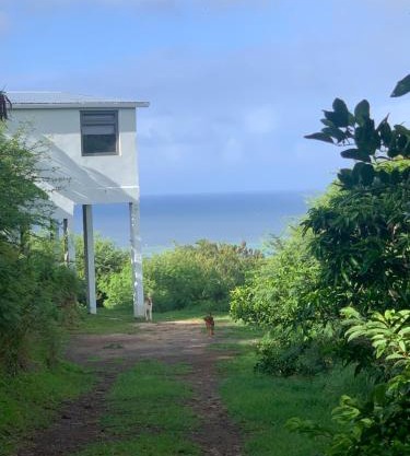 Ocean Bay Villa