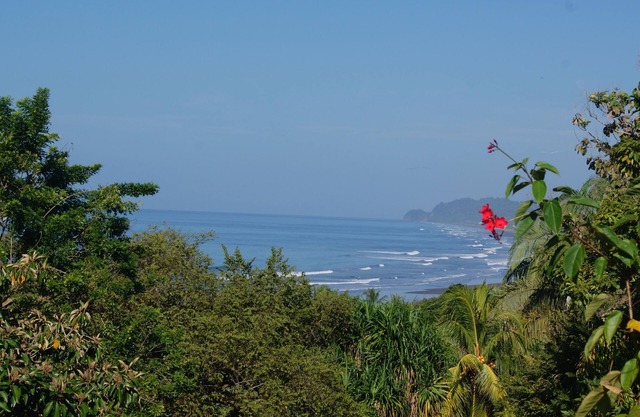 Ocean View Bungalow-Casa Pochote in Punta Mala