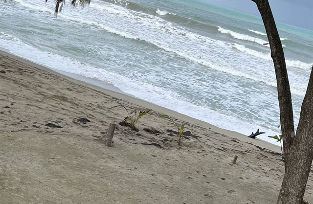 Ocean Villa With Mountain View Minutes From Cabarete and Sosua