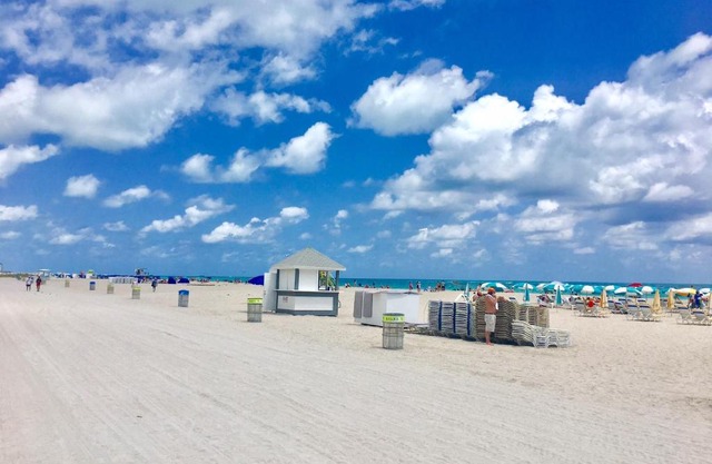 Ocean Walk by Miami Ambassadors