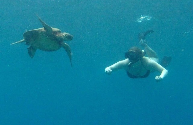 OCEANFRONT Create Forever Memories, Panoramic Views; 2 bdrm, 2 bath, Central A/C