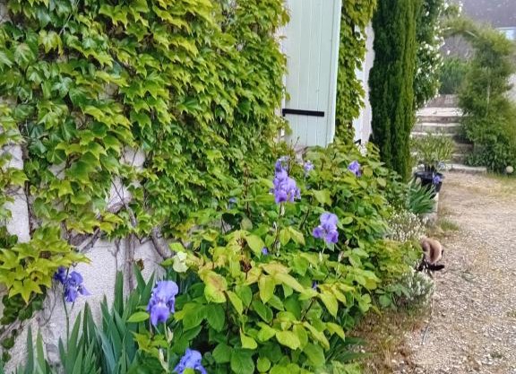 Ode au Bonheur St Georges sur Cher