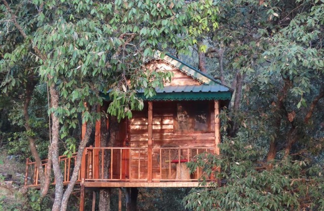 Odyssey Stays Mukteshwar - 300 Metres Trek