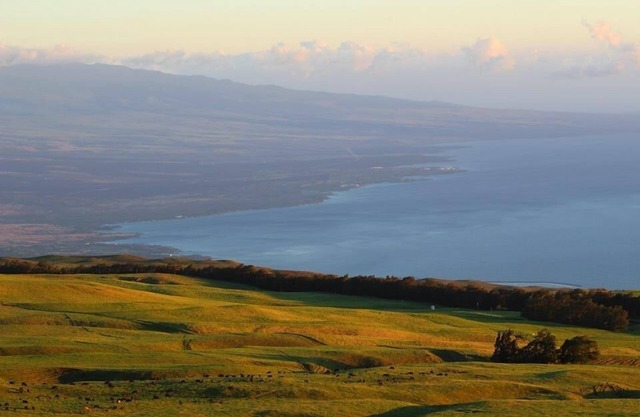 Ohana Hale at Kahua Ranch - Private Ranch Paradise in Kohala -