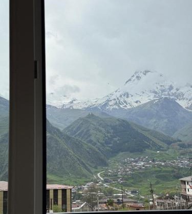 Oishe View