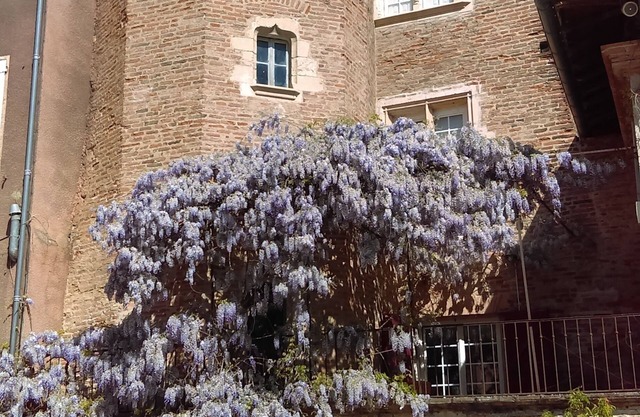 Old townhouse for 2-3 people