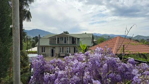 Olga's Home