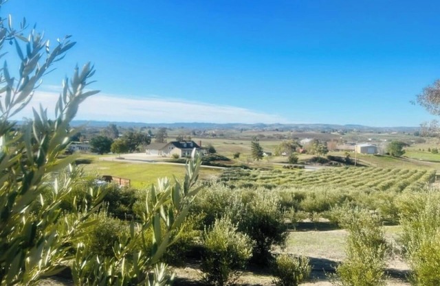 Olive Ranch Gem with Views!