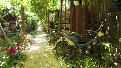 Olympos Natural Pansiyon