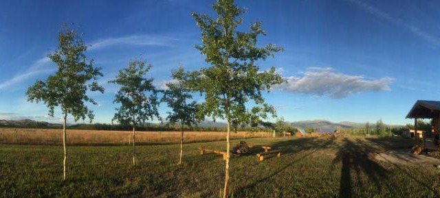 Oma's and Opa's Northern Lights Viewing Cabin