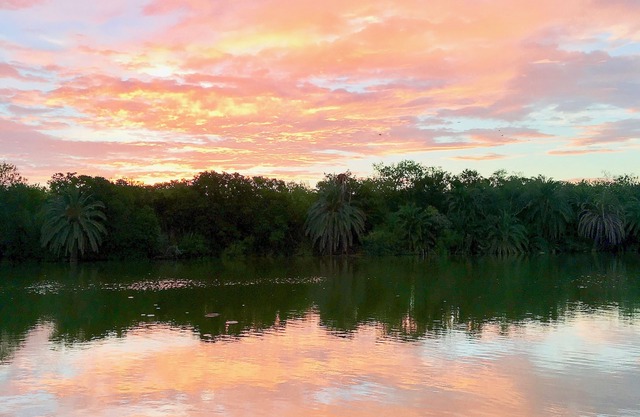 On the Water! Birdwatching in Progreso Lakes!
