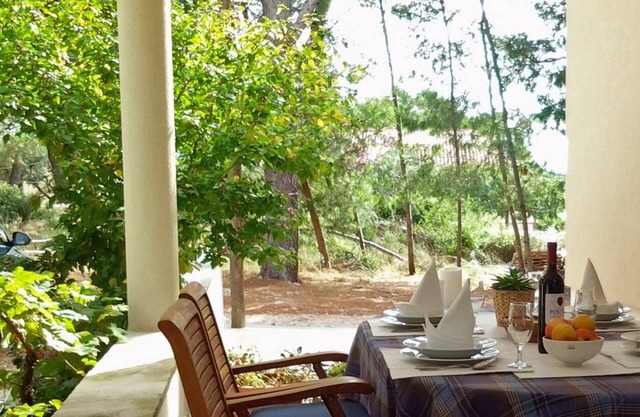 One bedroom apartment near beach Verunić, Dugi otok (A-8103-b)