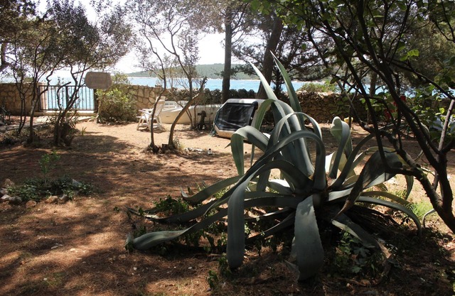 One bedroom apartment near beach Artatore, Lošinj (A-7935-c)