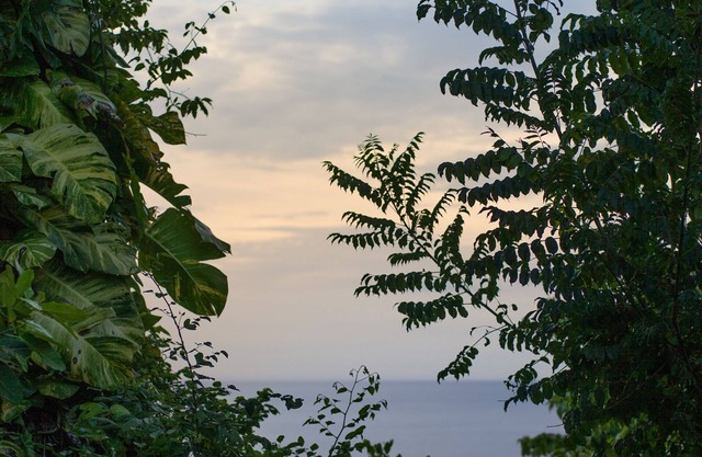 One Bedroom Sea View Villa, Frenchman's Cove Resort