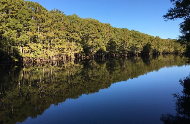One of a Kind-Get Away/Big Cypress Bayou Near Jefferson&Caddo