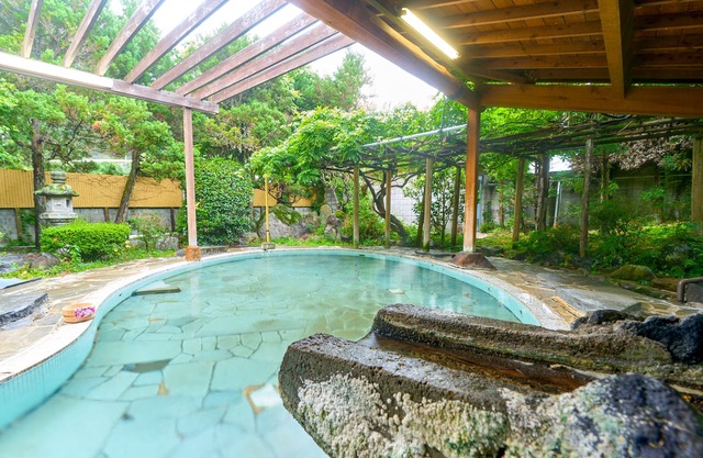 Ooedo Onsen Monogatari Shinshu Kakeyu