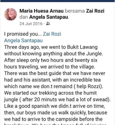 Orang Utan Jungle hiking