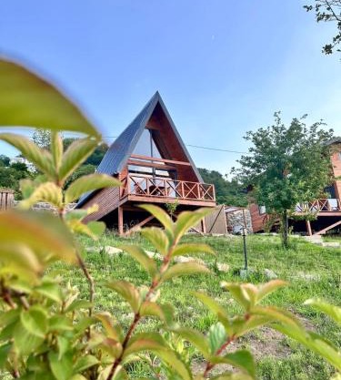 Ordu Bungalov Casa di Arte