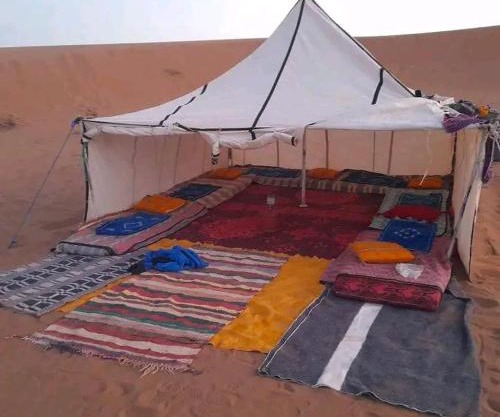 Organisation Des Excursions & Bivouac dans le désert