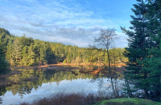 Otter's Pond Bed and Breakfast