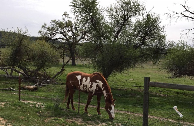 OYB Ranch-Beautiful Endless Views!