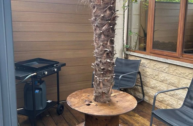 Palm Studio.