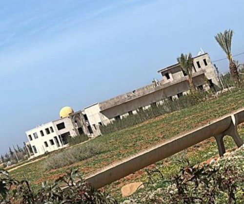 Palmera dar Zahra